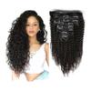 Deep Wave Clip-in Human Hair Extensions, 8 Pieces, 120 g, 30.566 cm, Full Head, Brazilian Remy Hair view 1