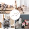 Xinhuju Catnip Beetle Toy, Plush Snake Cat Toy view 3