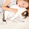 Xinhuju Catnip Beetle Toy, Plush Snake Cat Toy view 4