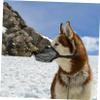 Toddmomy Outdoor Dog Muzzle for Medium and Large Dogs view 4
