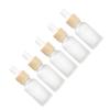 FRCOLOR 5-Piece Dropper Bottle Set, Frosted Glass, Refillable, Reusable Travel Bottles view 1