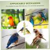 Yardwe Bird Stand with 4 Branches for Parrots and Birds view 2