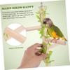 Yardwe Bird Stand with 4 Branches for Parrots and Birds view 3