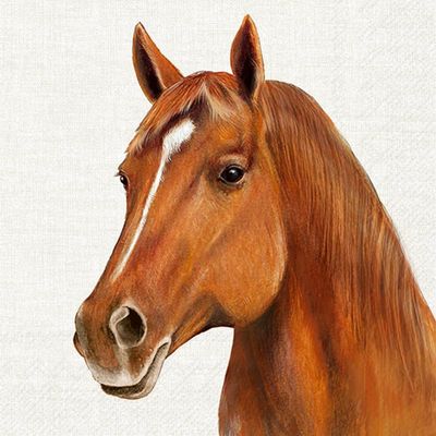 20 Horse Paper Napkins, 33 x 33 cm