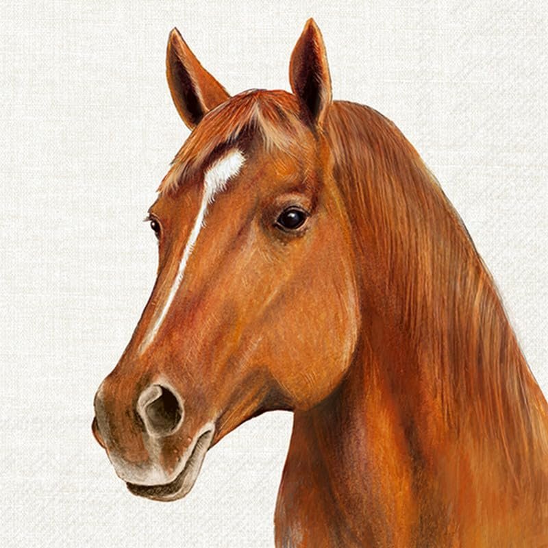 20 Horse Paper Napkins, 33 x 33 cm