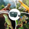 Reptile Drinking Fountain view 4