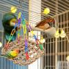 Bird Seagrass Swing - Parrot Swing, Bird Seagrass Mat view 4