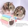 Hamster House with Hideaway for Small Pets, DIY Hamster Toy view 2