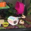 Hamster House with Hideaway for Small Pets, DIY Hamster Toy view 3