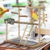 Bird Play Stand, Parrot Play Toy, Perch Tower view 3