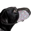 Kustimantu Animation Dog Muzzle view 1