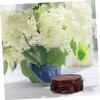 Kisangel Round Wooden Base for Plants and Aquariums view 4
