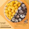 Healthy Freeze-Dried Quail Egg Yolk Treats for Cats and Dogs, 150 g view 3