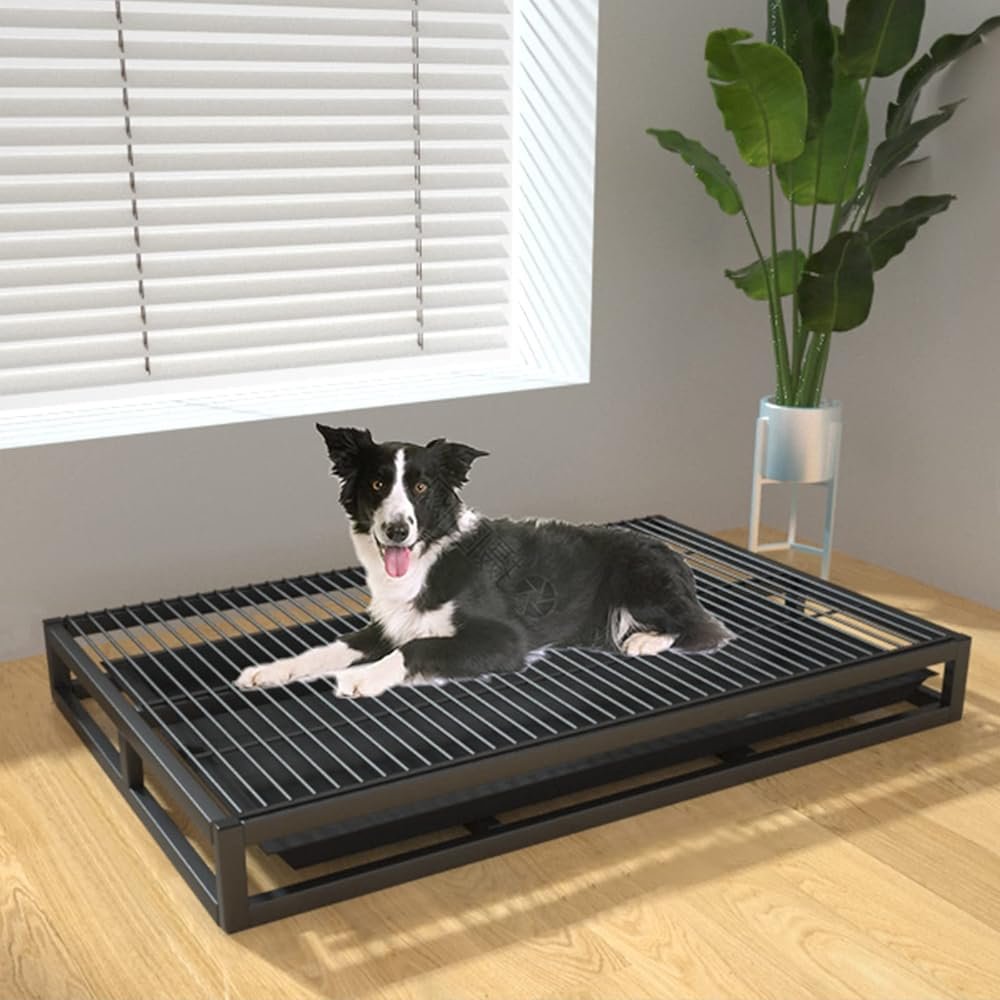 Portable Metal Dog Toilet Training Tray, Black, 78 x 49.8 x 8.9 cm