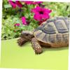 BUGUUYO Reptile Substrate Mat for Turtles view 3