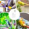 Parrot Harness with Retractable Leash view 4