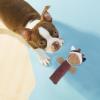 Squeaky Plush Dog Toy for Small Dogs view 2