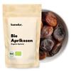 Kamelur 3 kg Organic Soft Dried Apricots – Unsulfured, Unsweetened, No Additives view 1