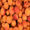 Kamelur 3 kg Organic Soft Dried Apricots – Unsulfured, Unsweetened, No Additives view 4