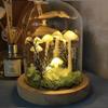 Qussedser Small Mushroom Lamp, Handmade Night Light Project view 2