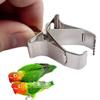 CVZJ 3-Piece Bird Fruit Holder view 4