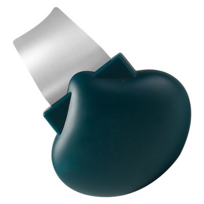 Stainless Steel Facial Cleansing Spatula