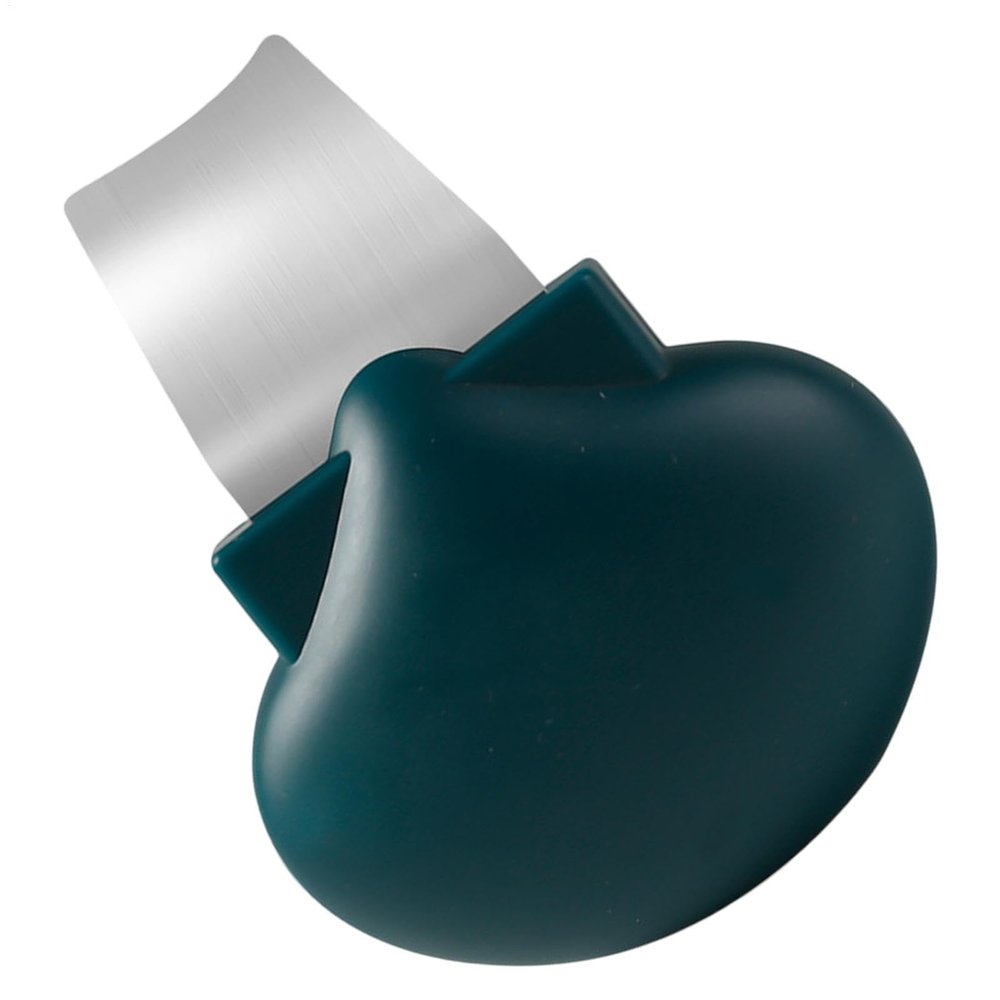 Stainless Steel Facial Cleansing Spatula