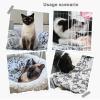 Paw Print Blanket for Dogs view 4