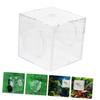 Happyyami Transparent Fish Breeding Box with Suction Cups view 4