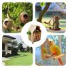 Bird Cage Toy for Parrots view 4