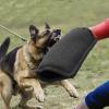 Dog Bite Training Arm Guard, Hard Sleeve Arm Protection view 2