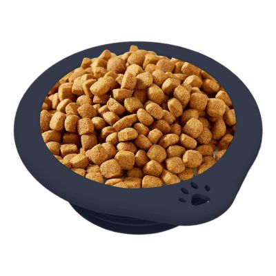 Expandable Travel Dog Bowl, 300 mL