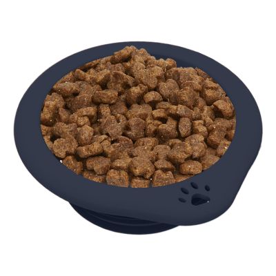Foldable Pet Bowl, 300 ml