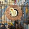 Coconut Shell Bird House and Nest Hut view 2