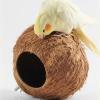 Coconut Shell Bird House and Nest Hut view 3