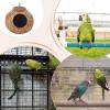 Coconut Shell Bird House and Nest Hut view 4