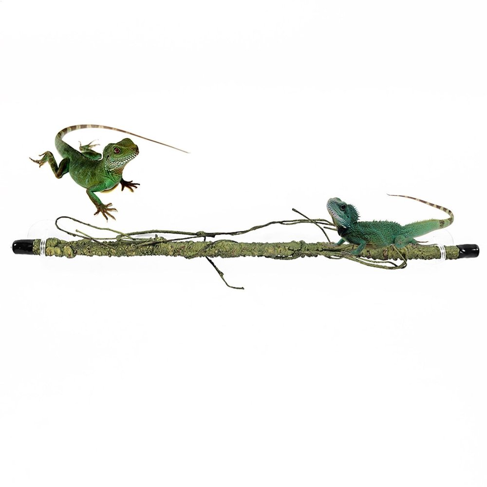 Huvqianu Terrarium Reptile Corner Branch