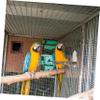 BUGUUYO Parrot Mirror Toy view 4