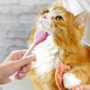 Silicone Cat Chin Brush view 2