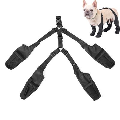 suwoeo Dog Boot Leggings