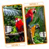 BESPORTBLE Stainless Steel Bird Feeder with Holder 14cm view 3
