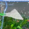 Aquarium Drain Pipe - Stainless Steel & Acrylic view 2