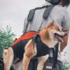 Dog Transport and Lift Harness view 3