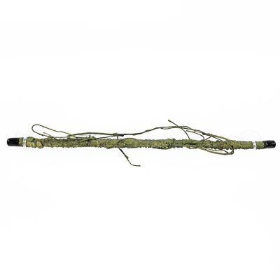 LearnLyrics Gecko Climbing Toy
