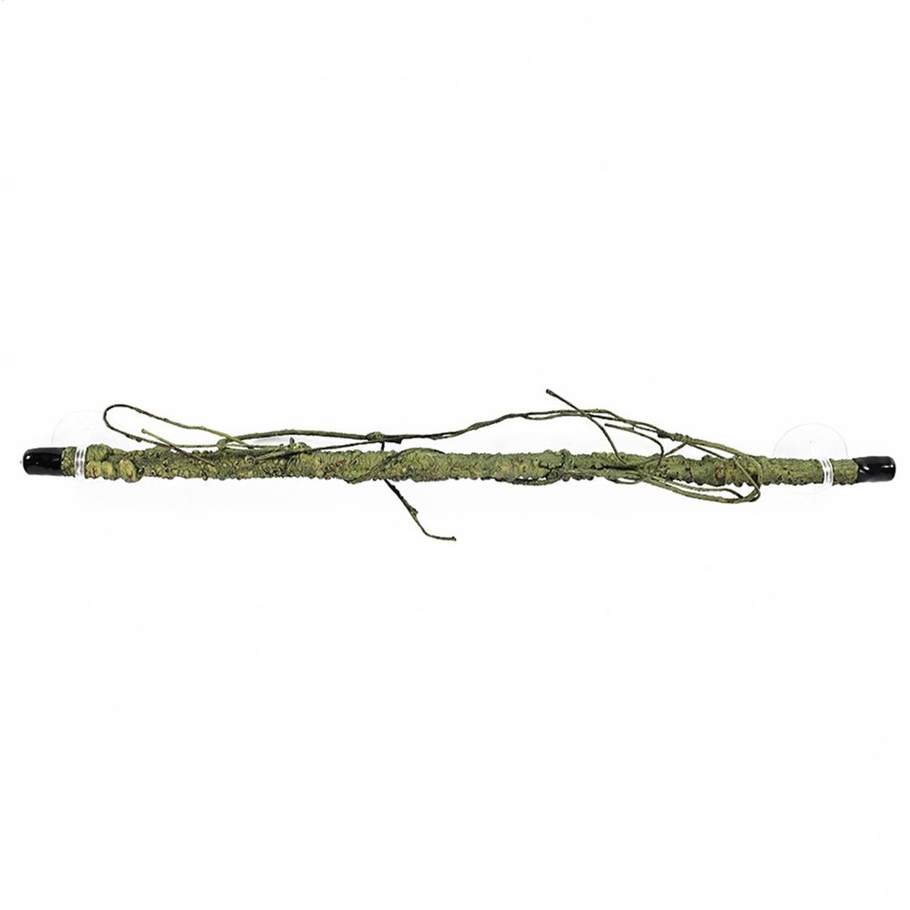 LearnLyrics Gecko Climbing Toy