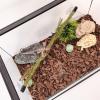 LearnLyrics Gecko Climbing Toy view 2