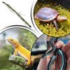 LearnLyrics Gecko Climbing Toy view 4