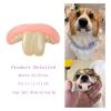 Dog Dentures, 2-Pack Novelty Fake Teeth Chew Toys view 4