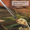Stainless Steel Reptile Feeding Tongs view 2