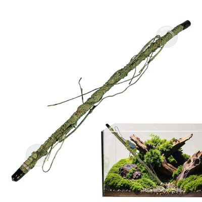 Dtaigou Reptile Corner Branch for Terrarium